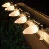 TridentPro Lighting LED Warm White Smooth C9 Polycarbonate Bulbs